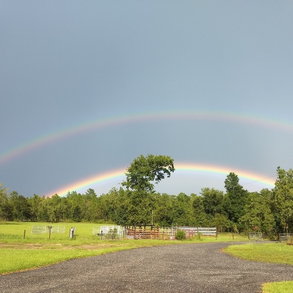 Meet your Posher, Jj - Picture 1 of 1